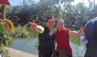 深圳东湖公园菊花展 深圳东湖公园菊花展